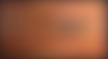 banner-image