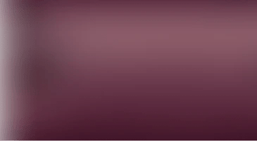 banner-image