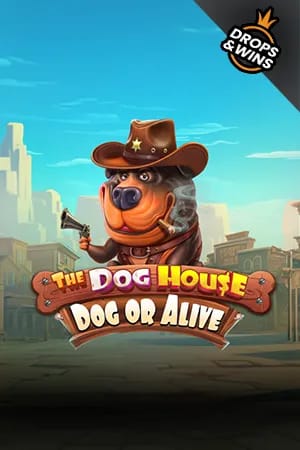 The Dog House - Dog or Alive
