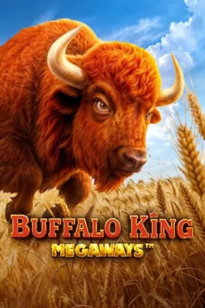Buffalo King Megaways™