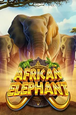 African Elephant™