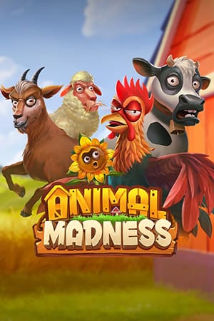 Animal Madness