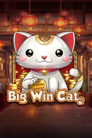 Big Win Cat