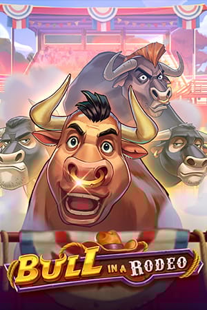 Bull in a Rodeo