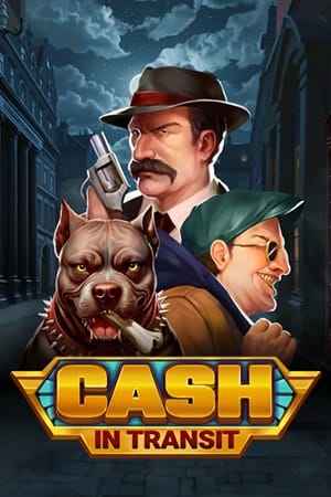 Cash in Transit