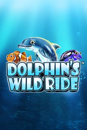 Dolphin’s Wild Ride