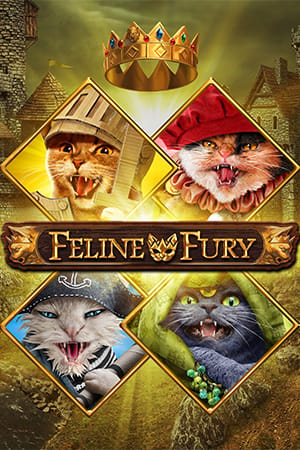 Feline Fury