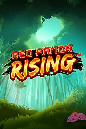 Red Panda Rising