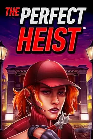 The Perfect Heist