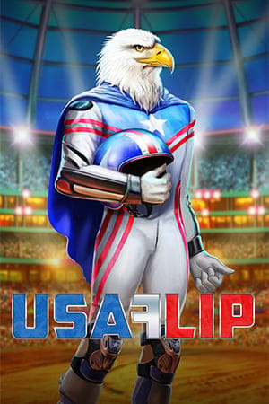 USA Flip