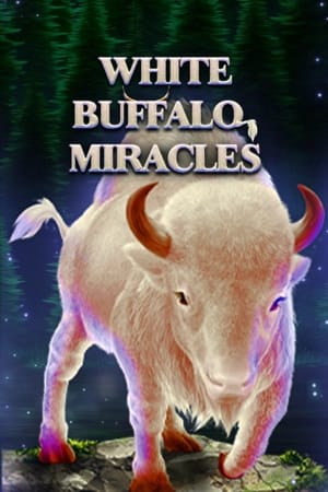 White Buffalo Miracles
