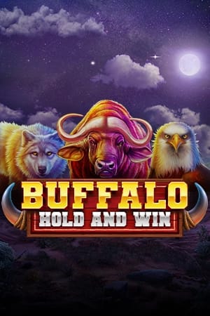 Buffalo Hold and Win