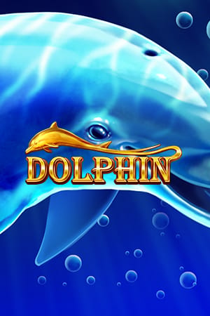 Dolphin Delight