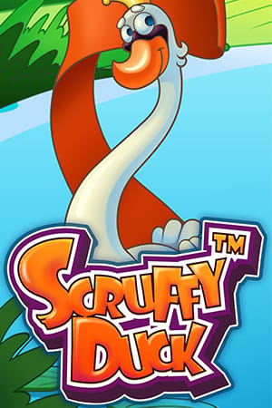 Scruffy Duck
