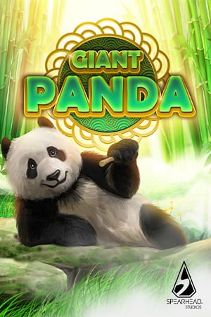 Giant Panda