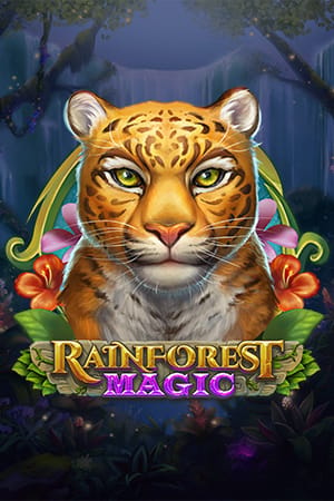 Rainforest Magic
