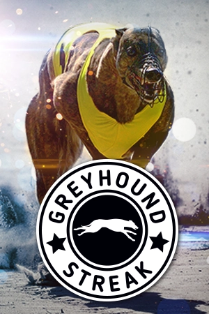 Greyhounds Streak
