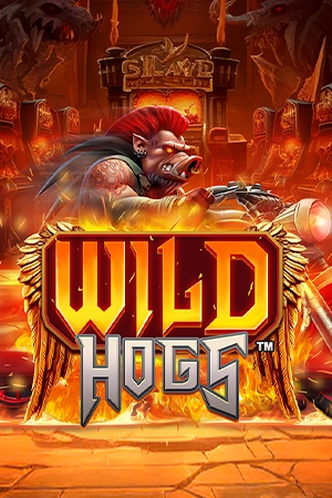 Wild Hogs